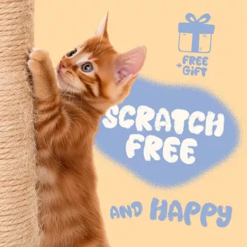 Stop Cat Scratching: Save Your Couch in 7 Days